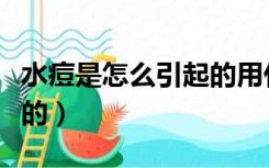 水痘是怎么引起的用什么药（水痘是怎么引起的）