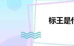 标王是什么意思