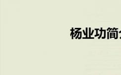 杨业功简介（杨业）