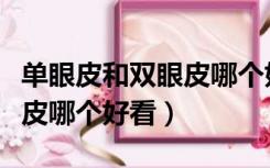 单眼皮和双眼皮哪个好看手术（单眼皮和双眼皮哪个好看）