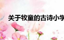 关于牧童的古诗小学（关于牧童的古诗）