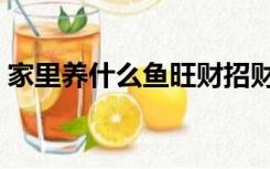家里养什么鱼旺财招财（家里养什么鱼旺财）