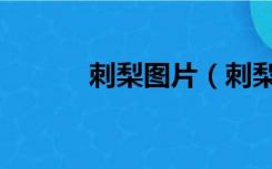 刺梨图片（刺梨的功效与作用）