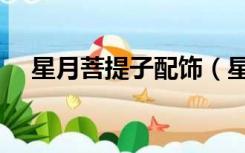 星月菩提子配饰（星月菩提子怎么配饰）