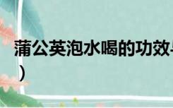 蒲公英泡水喝的功效与作用（松脂酸铜的作用）