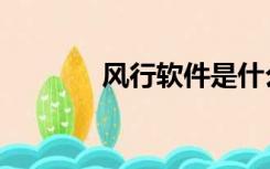 风行软件是什么（风行软件）