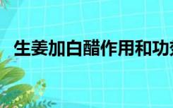 生姜加白醋作用和功效（生姜加白醋作用）
