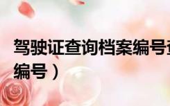 驾驶证查询档案编号查不到（驾驶证查询档案编号）