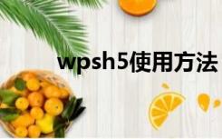 wpsh5使用方法（wpsh5是什么）