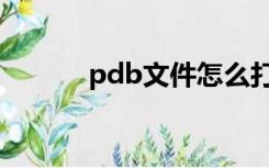 pdb文件怎么打开（pdb文件）