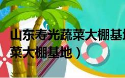 山东寿光蔬菜大棚基地联系电话（山东寿光蔬菜大棚基地）