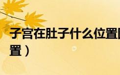 子宫在肚子什么位置图片（子宫在肚子什么位置）