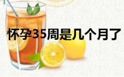 怀孕35周是几个月了（怀孕35周是几个月）