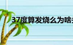 37度算发烧么为啥头疼（37度算发烧）