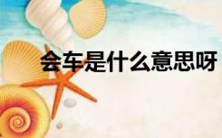 会车是什么意思呀（会车是什么意思）