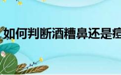 如何判断酒糟鼻还是痘痘（如何判断酒糟鼻）