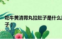吃牛黄清胃丸拉肚子是什么原因（吃牛黄清胃丸为什么拉肚子）