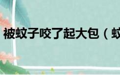 被蚊子咬了起大包（蚊子咬了为什么起大包）