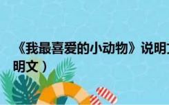 《我最喜爱的小动物》说明文（我最喜欢的小动物二百字说明文）