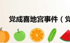 党成喜地宫事件（党成喜梨园地宫照片）
