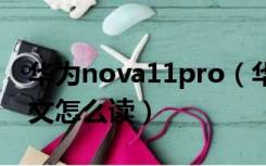 华为nova11pro（华为nova怎么读 nova中文怎么读）