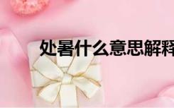 处暑什么意思解释（处暑什么意思）