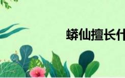 蟒仙擅长什么（莽仙）