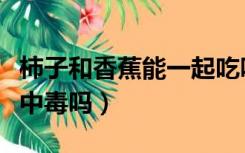 柿子和香蕉能一起吃吗（柿子和香蕉一起吃会中毒吗）