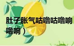 肚子胀气咕噜咕噜响（腹泻为什么肚子咕噜咕噜响）