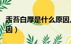 舌苔白厚是什么原因儿童（舌苔白厚是什么原因）