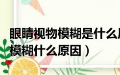 眼睛视物模糊是什么原因引起的（五十岁眼睛模糊什么原因）