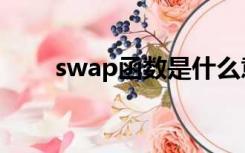 swap函数是什么意思（swap函数）