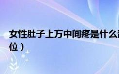 女性肚子上方中间疼是什么部位（肚子上方中间疼是什么部位）