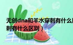 无创dna和羊水穿刺有什么区别哪个好（无创dna和羊水穿刺有什么区别）