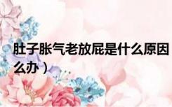 肚子胀气老放屁是什么原因（肚子一直咕噜咕噜叫还放屁怎么办）