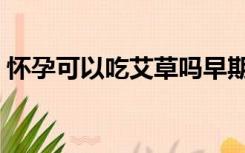 怀孕可以吃艾草吗早期（怀孕可以吃艾草吗）