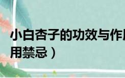 小白杏子的功效与作用禁忌（杏子的功效与作用禁忌）