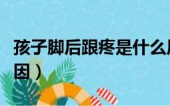 孩子脚后跟疼是什么原因（男士脚后跟疼的原因）