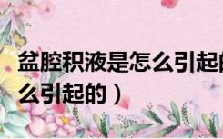 盆腔积液是怎么引起的怎么办（盆腔积液是怎么引起的）