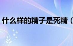 什么样的精子是死精（精子胶冻状是死精吗）