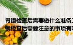 胃镜检查后需要做什么准备工作（胃镜检查后要注意什么 胃镜检查后需要注意的事项有哪些）
