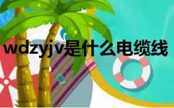 wdzyjv是什么电缆线（wdz yjv是什么电缆）