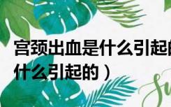 宫颈出血是什么引起的五十几岁（宫颈出血是什么引起的）