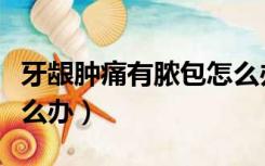 牙龈肿痛有脓包怎么办呢（牙龈肿痛有脓包怎么办）