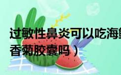 过敏性鼻炎可以吃海鲜吗（过敏性鼻炎可以吃香菊胶囊吗）