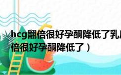 hcg翻倍很好孕酮降低了乳房胀疼感下降了正常吗（hcg翻倍很好孕酮降低了）