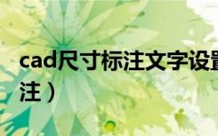 cad尺寸标注文字设置（cad尺寸标注 文字标注）