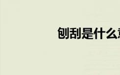 刨刮是什么意思（刨刮）