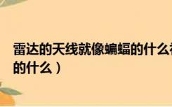 雷达的天线就像蝙蝠的什么补充完整（雷达的天线就像蝙蝠的什么）