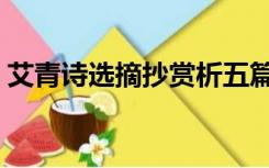 艾青诗选摘抄赏析五篇（艾青诗选摘抄赏析）